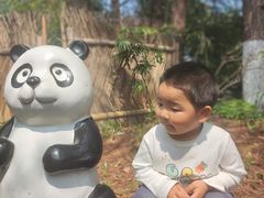 -苏州太湖国家湿地公园
