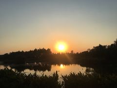 -艾溪湖湿地公园