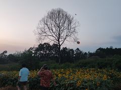 -三圣花乡旅游区