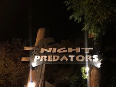 -清迈夜间动物园