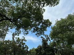 -金丹酱板鸭营业厅(紫缘路店)