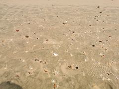 -龙凤头海滨浴场度假村-停车场