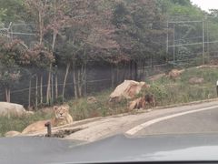 -乐和乐都主题乐园