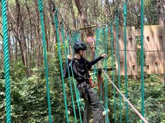 -芦仙山景区-飞越丛林探险乐园
