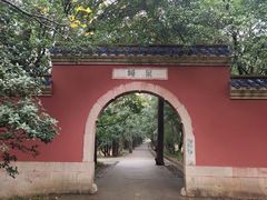 -灵谷景区