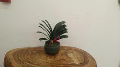 -御品•瑶浴灸疗SPA