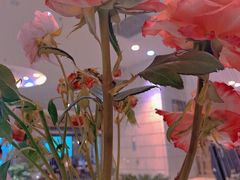 -1/4 ONE QUARTER COFFEE LAB(朝阳大悦城店)