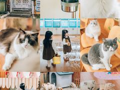 -上海佘山茂御臻品之选酒店(原佘山艾美酒店)
