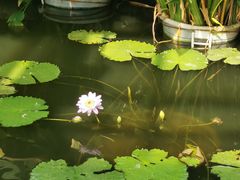 -国家植物园南园