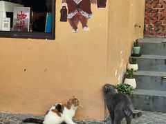 -猫岛主趣味餐厅(鼓浪屿店)