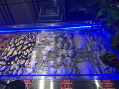 -非烤勿扰自助烤肉海鲜火锅(南城莱蒙店)