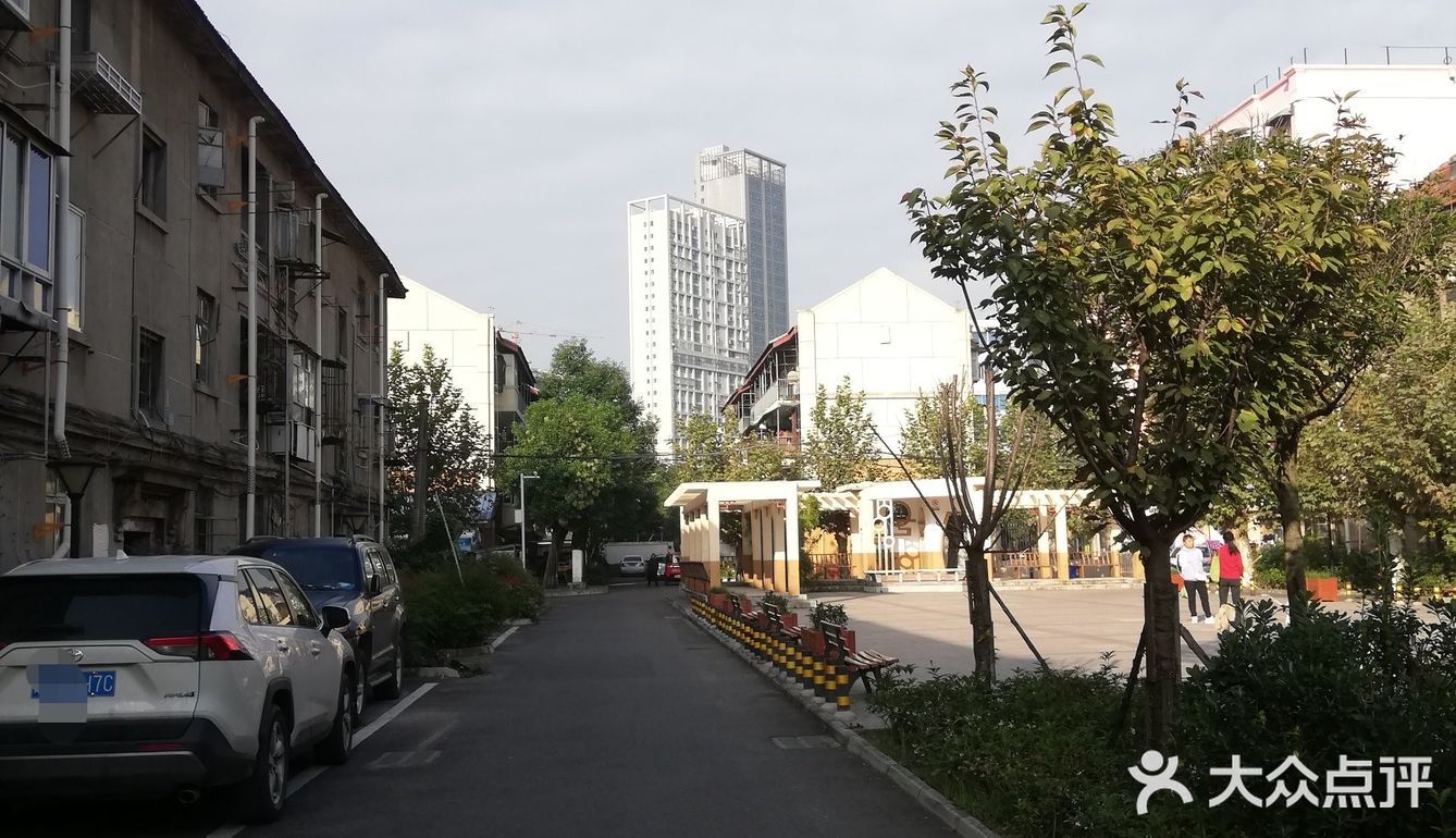 一个人在桂湖森林公园坐着发呆……