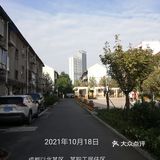 一个人在桂湖森林公园坐着发呆……