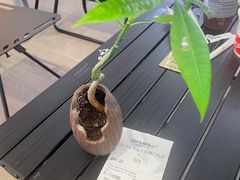 -茶月山·潮汕工夫茶饮(乐峰广场店)