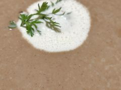 奶油蘑菇汤汤-布拉格餐厅· 中欧捷克菜(全国首店)