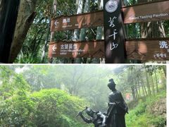 -莫干山风景区