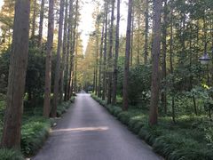 -上海怡沁园度假酒店