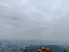 -长虫山生态公园风景林