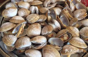Fresh Yellow Clam Steamed