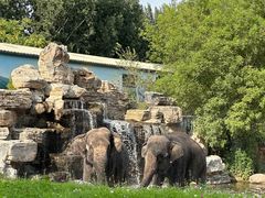 -北京野生动物园