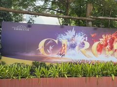 -广州长隆国际大马戏