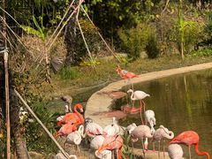 -杭州野生动物世界