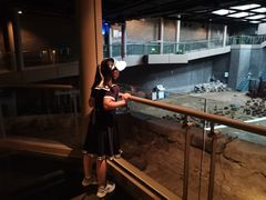 -元代水闸遗址博物馆