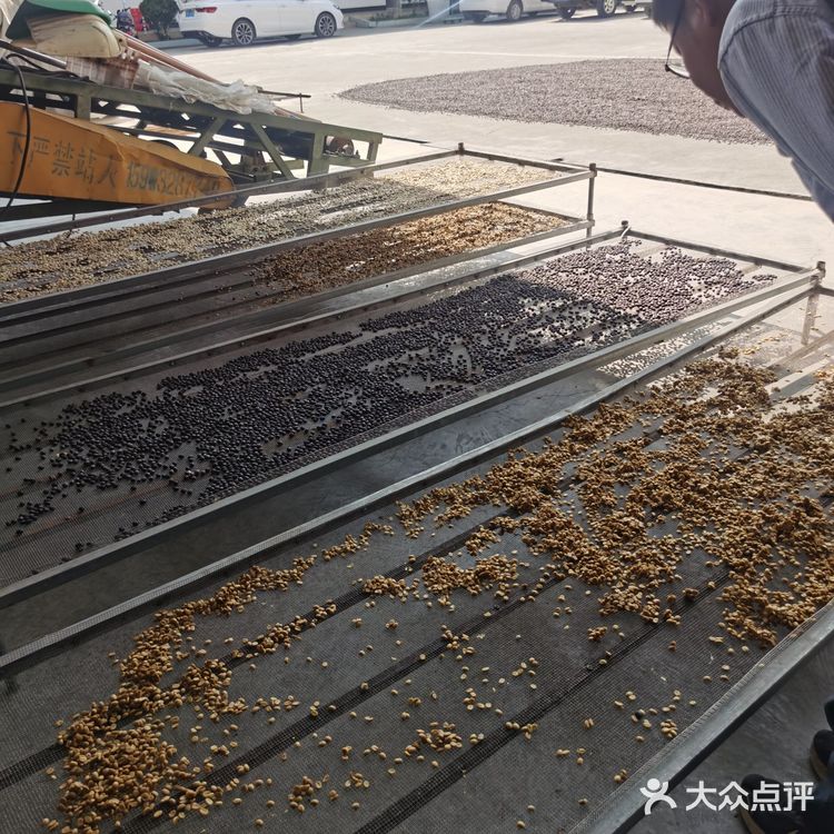 云南保山～潞江坝～小众咖啡庄园2～