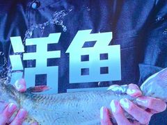 -老板恋上鱼(恒隆广场店)