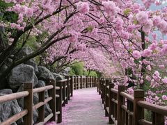 -凤凰汇购物中心