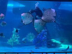 -泉城欧乐堡海洋极地世界