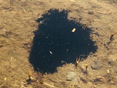 -北京鹿世界主题园