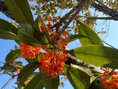 -重庆医科大学附属第一医院(金山院区)