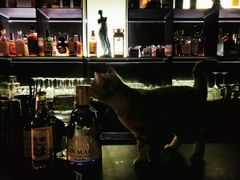 -ASPIRYNA酒吧水烟吧(太古里店)