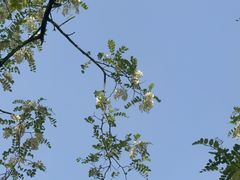 -洋湖国家湿地公园