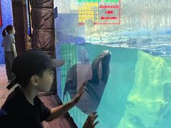 -左海海底世界