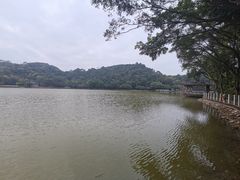 -西樵山风景名胜区-天湖公园