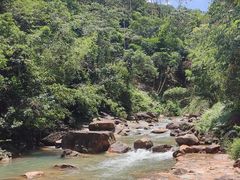 -广州白江湖森林公园