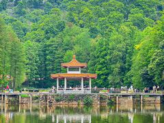 -深圳仙湖植物园
