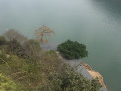 -羚羊峡古栈道森林公园