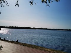 -丁香湖公园