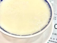 原味双皮奶-仁信老铺(华盖路店)