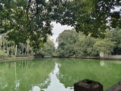 -西湖公园(鼓楼区)
