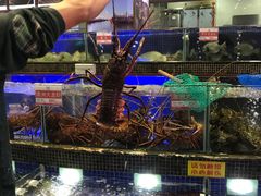 -欢乐海岸美食联盟