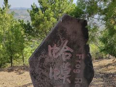-磬锤峰森林公园