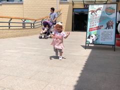 -石家庄市动物园