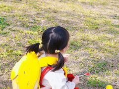 -国际非物质文化遗产博览园