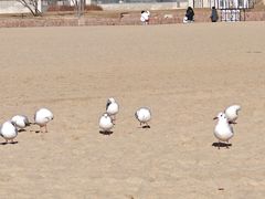 -y SEA·西班牙餐厅(阿那亚·北戴河店)