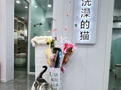 -爱洗澡的猫(望京店)