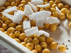 -霞客居酒店·霞客食府·宁海特色小海鲜